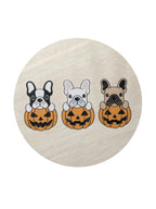 Premium Sand + Paws Pumpkin Harvest 12 oz scented candle