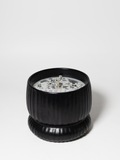 Premium Speakeasy 10 oz scented candle