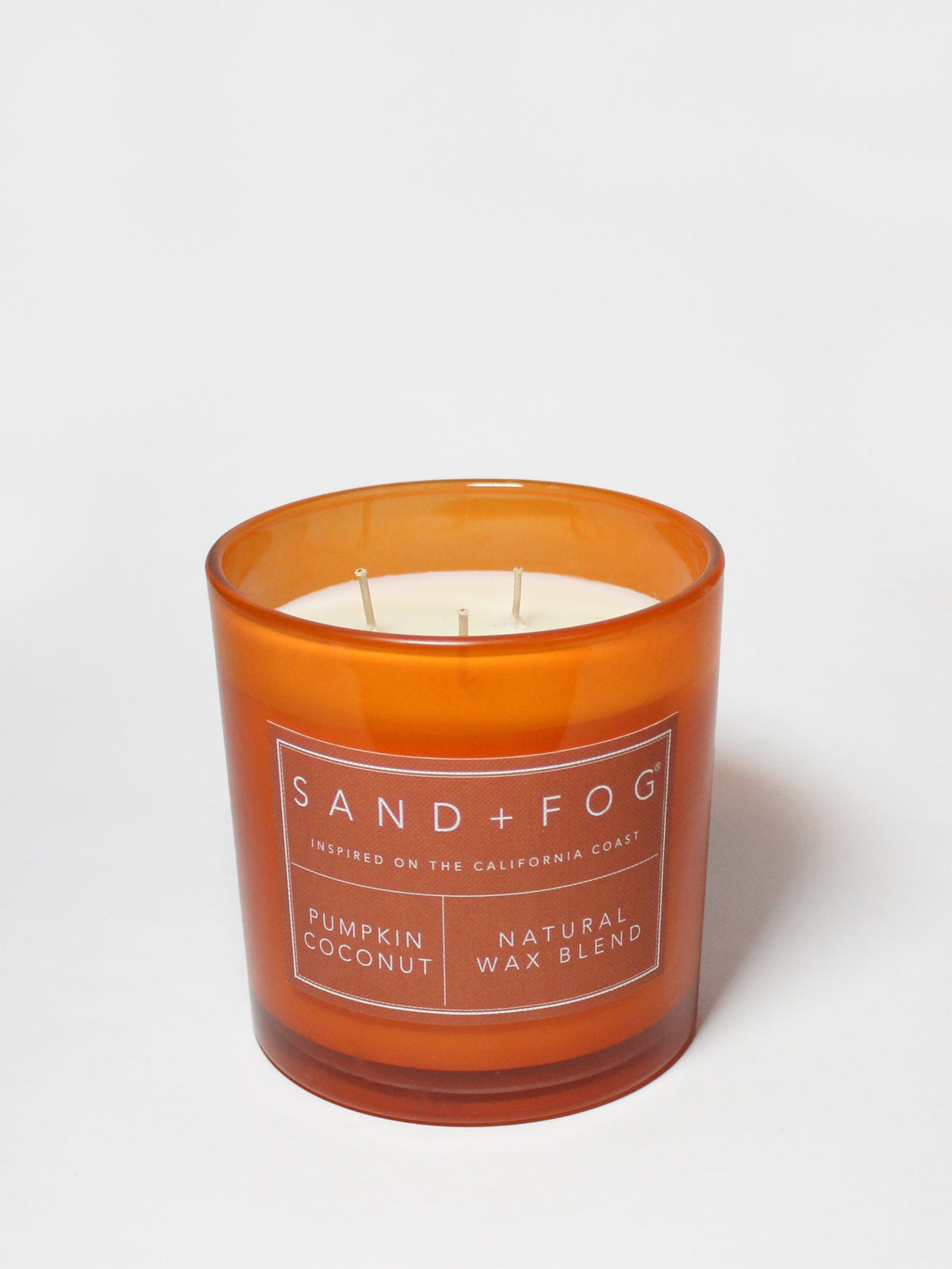 Premium Pumpkin Coconut 21 oz scented candle
