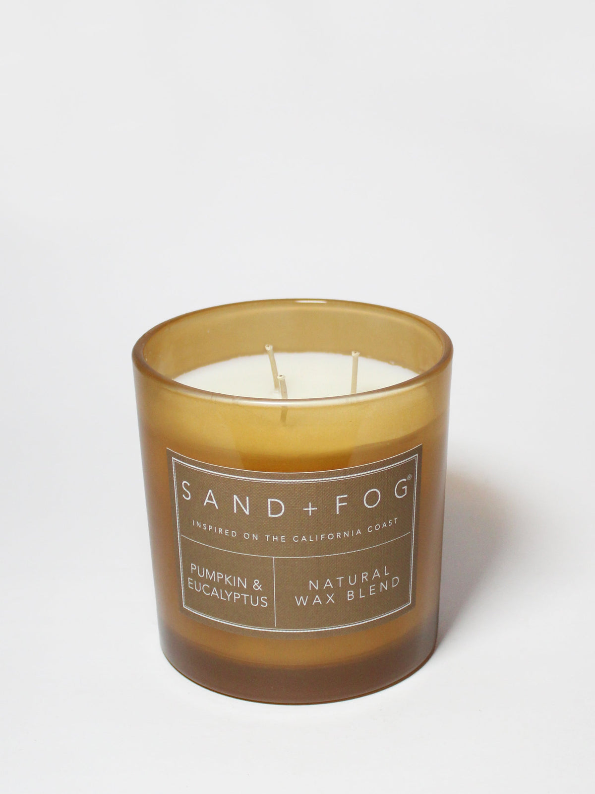 Premium Pumpkin & Eucalyptus 21 oz scented candle