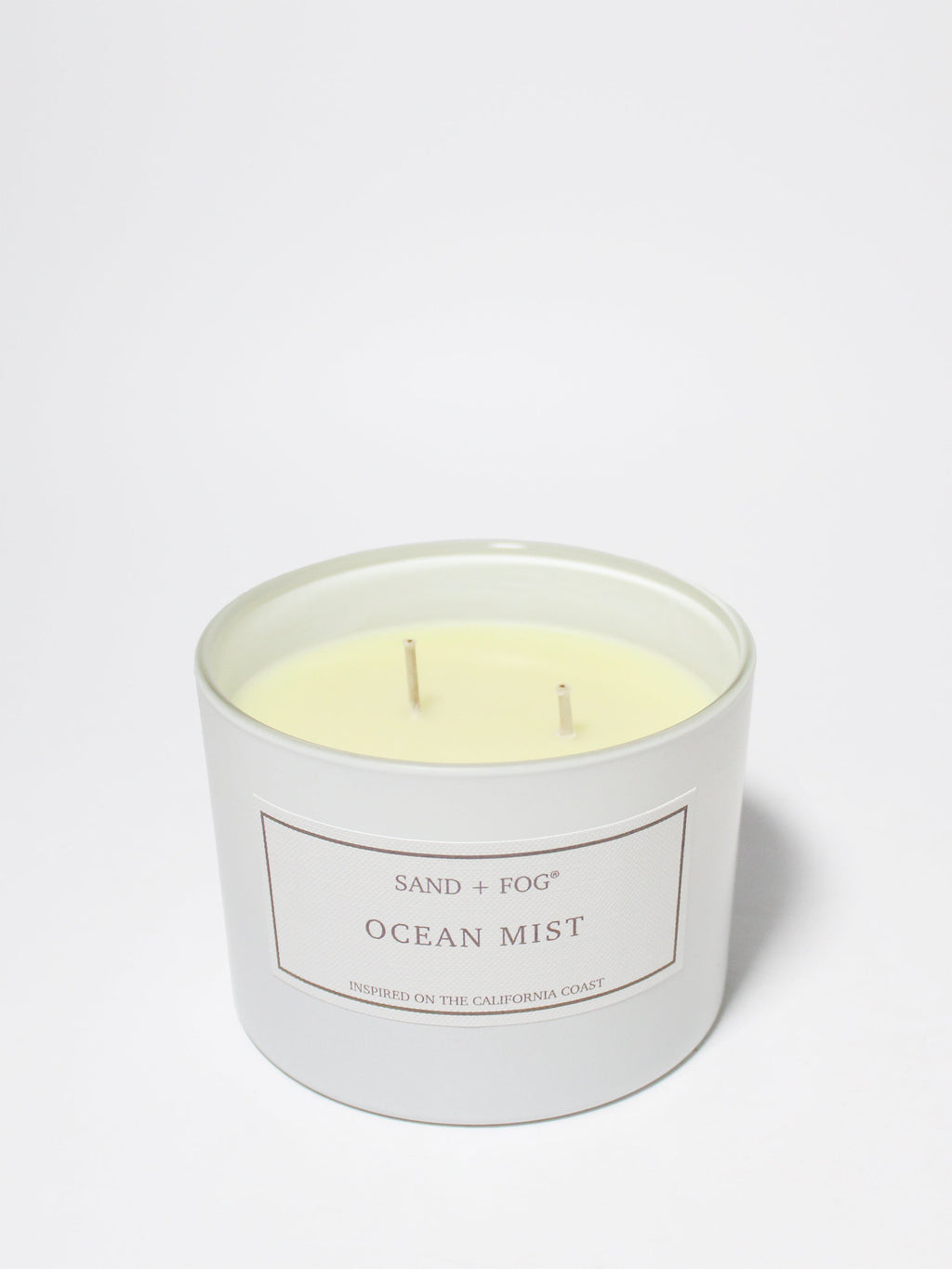 Premium Ocean Mist 12 oz scented candle