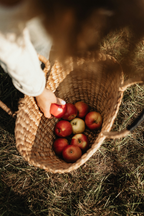 Premium Apple Picking 12 oz scented candle
