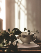 Premium Sand + Paws Eucalyptus Mint 12 oz scented candle