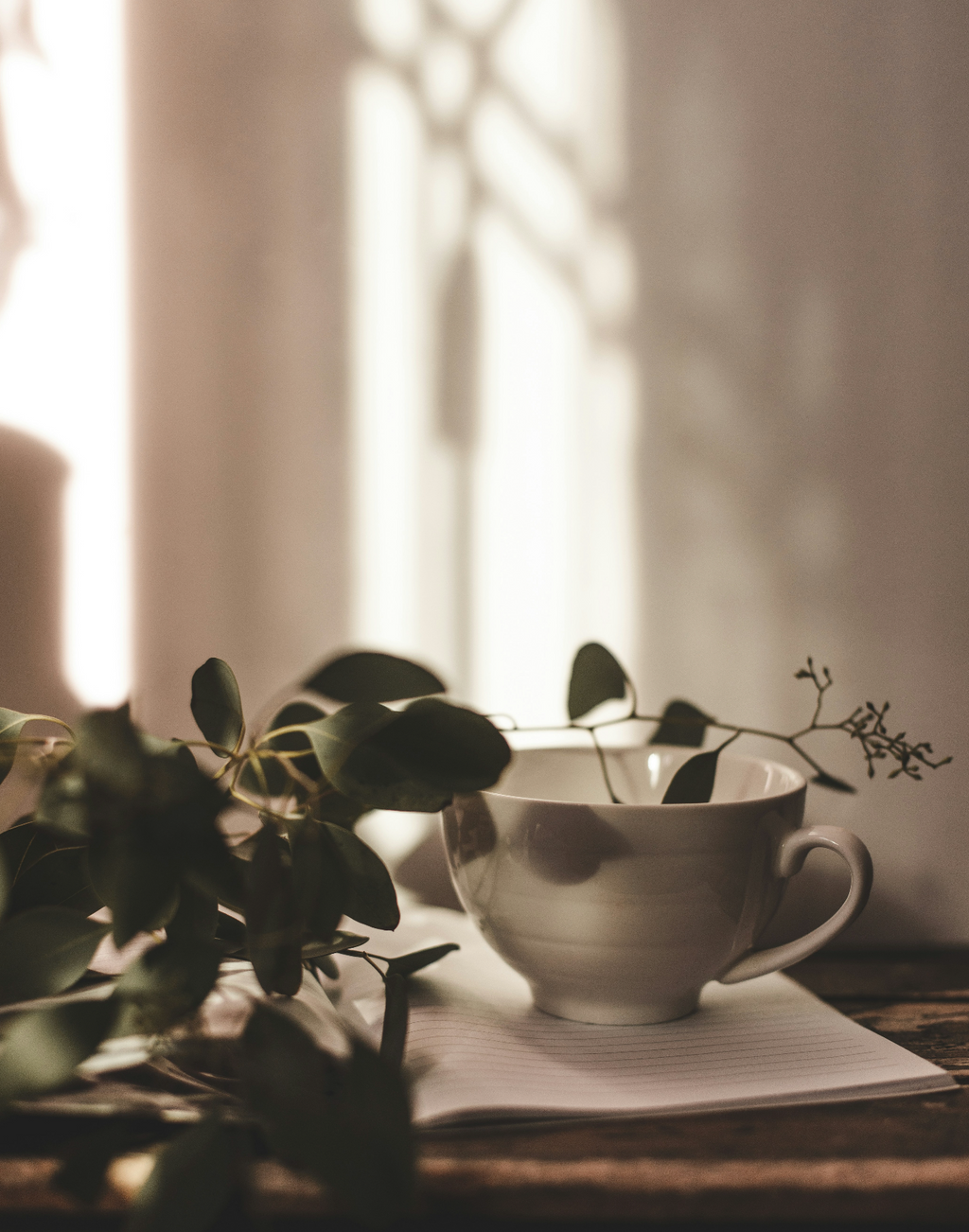 Premium Eucalyptus Mint 15.7 oz Liquid Hand Soap