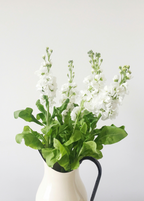 Premium White Flowers 15.7 oz Liquid Hand Soap
