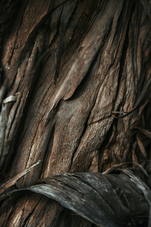 Premium Vanilla Sandalwood 110 ml Room Spray