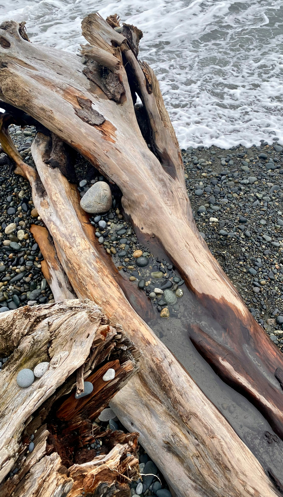 Premium Ocean & Driftwood 100 ml Room Spray