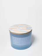 Premium Strawberry Spritz 12 oz scented candle