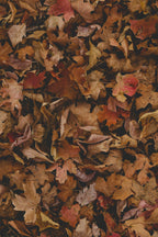 Premium Fall Leaves 12 oz scented candle